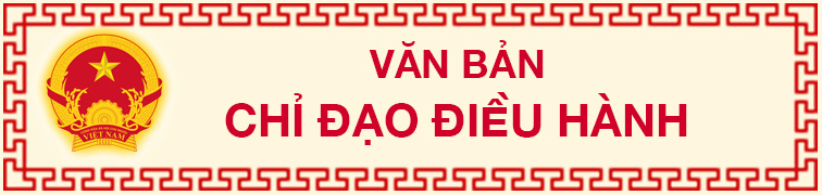 VB chi dao dieu hanh