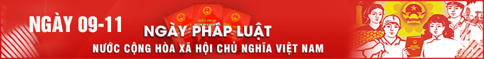 Ngày pháp luật Việt Nam.jpg